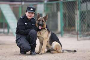 训犬美女(美女生物生“变身”成为优秀警犬训导员)