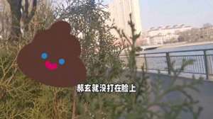 美女的屎多少钱(美女高空扔大便，拘役三个月罚款2000元，你说方便不方便？)