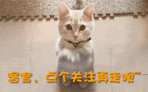 校园美女3d(她被誉为“3D女神”网友直呼亚洲脸，欧洲身材，完美)