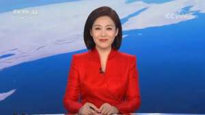 美女服衣(央视50位女主播春节出镜服装（70套）合集)