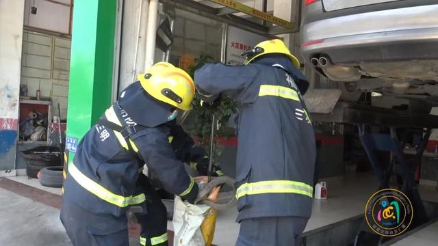 事发福建!两米长的毒蛇钻进汽车…