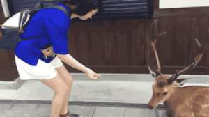 大美女乃乃(跟女网友奔现后感觉被骗了，我该怎么让她自费回去呢？”哈哈哈)