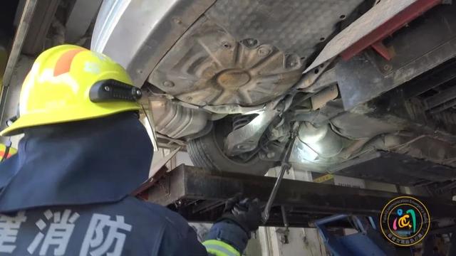 事发福建!两米长的毒蛇钻进汽车…