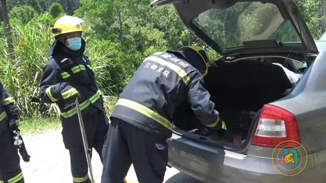 事发福建!两米长的毒蛇钻进汽车…