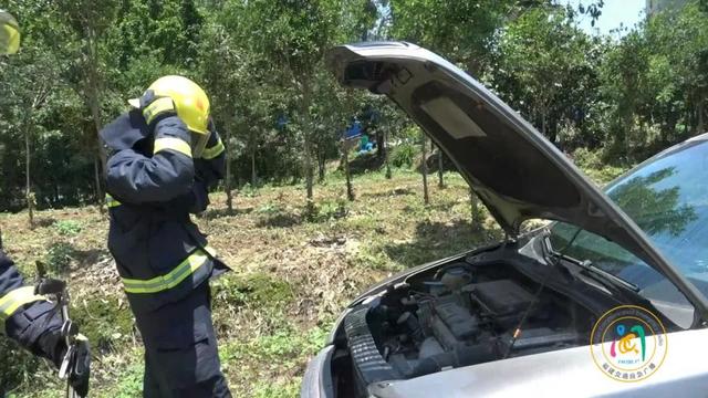 事发福建!两米长的毒蛇钻进汽车…