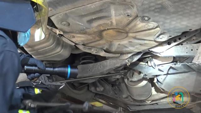 事发福建!两米长的毒蛇钻进汽车…