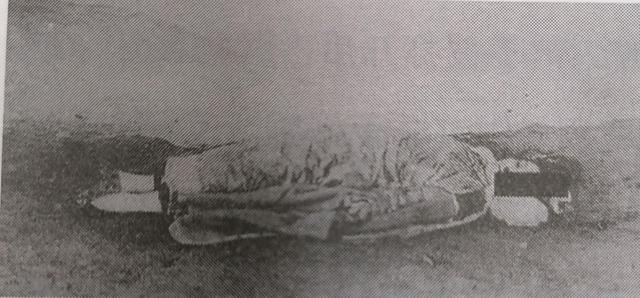 1925年,东北女匪驼龙,被处决前,身穿丝绸旗袍,高呼我不怕死