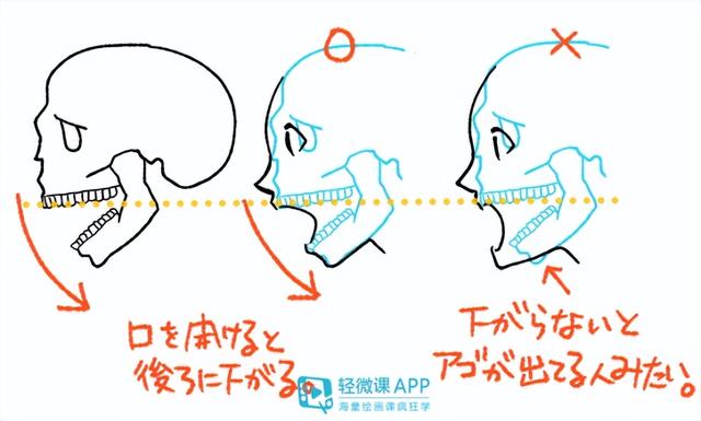 动漫人物的嘴巴怎么画?嘴巴的绘画参考