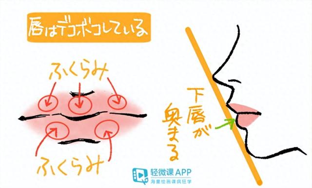 动漫人物的嘴巴怎么画?嘴巴的绘画参考