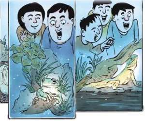 神奇美女系统txt(随意弃养异宠存在外来物种入侵风险 记者调查异宠买卖饲养链条)