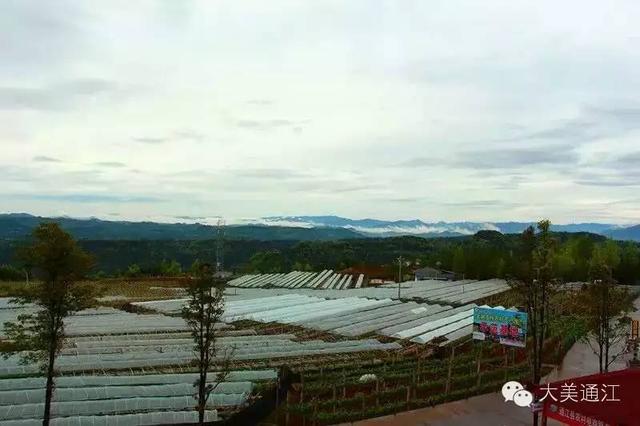通江单身美女入住小木屋，寂寞中萌发恋爱冲动！