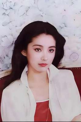 美女沟很深(林青霞下巴美人沟，陈红圆中带方，都是顶级美女的标志)