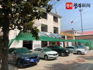 汽车防尘网(为给车辆“遮阳”，竟在树上拉起一片防尘网)