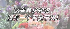 美女白浆喷水(这些花材养护知识，没有一个不是干货)