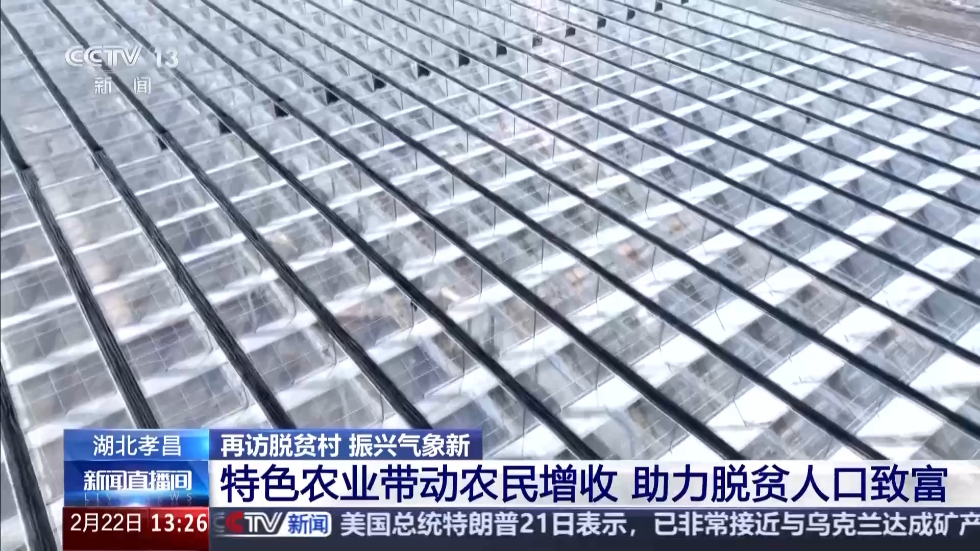 再访脱贫村 振兴气象新丨一拿一放完成种菜 江河村的大棚有多智能?