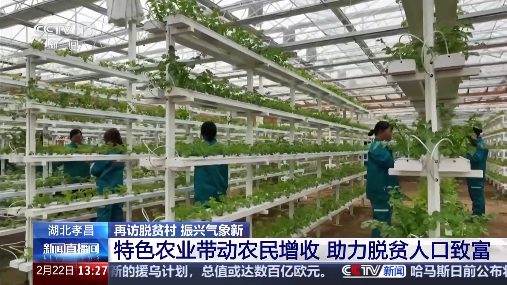 再访脱贫村 振兴气象新丨一拿一放完成种菜 江河村的大棚有多智能?