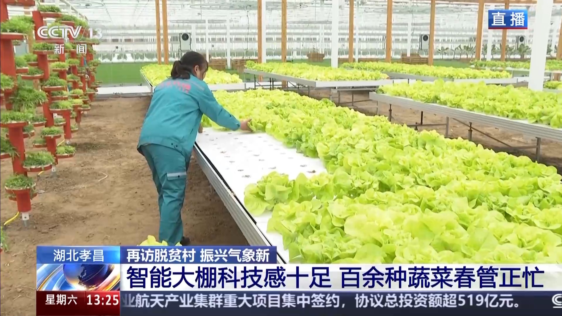 再访脱贫村 振兴气象新丨一拿一放完成种菜 江河村的大棚有多智能?