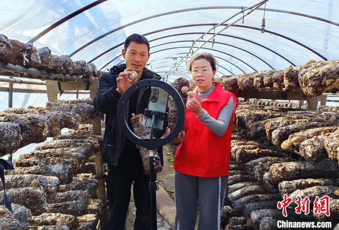 湖北:数智赋能拓宽乡村振兴路