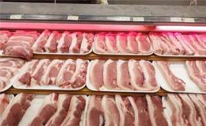 2021年2月25日全国各地今日白条猪肉价格行情