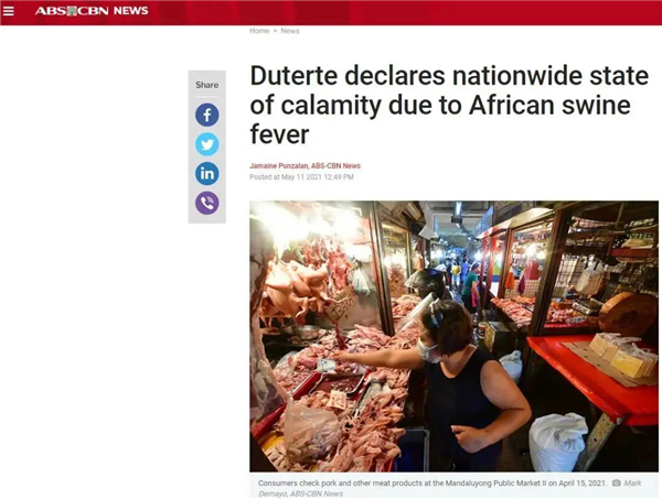 非洲猪瘟暴发，菲律宾进入国家灾难状态！