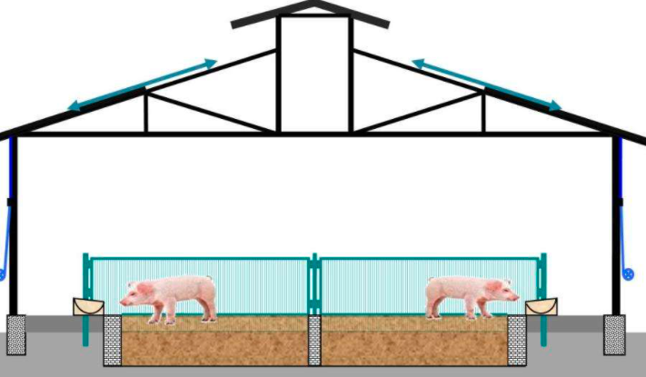 自然养猪法的猪舍设计原则，这样才能最省钱！