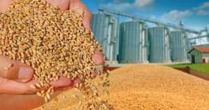 黑海供应中断后，小麦价格从14年高点回落，国际市场迎来新利好