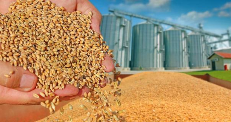 黑海供应中断后，小麦价格从14年高点回落，国际市场迎来新利好