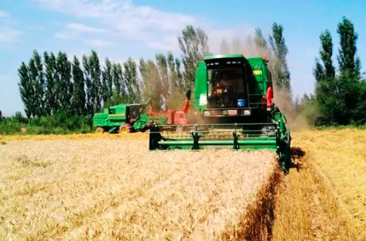 欧盟上调新季软小麦产量预测，削减大麦和玉米产量预期