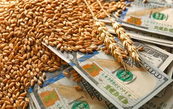 欧洲小麦市场一周聚焦：法国小麦价格上涨