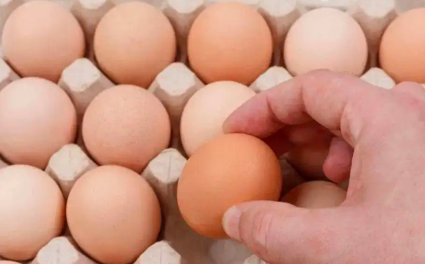 生鸡蛋治猪病在养猪中的8种用法？