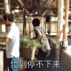 荆州这个乡村小伙直播养猪捉虾成网红，还找了个网友做老婆！