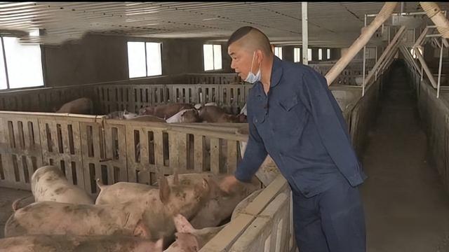 养猪大王刘开军：卖3套房养猪连亏9年，如今养猪场年入1.2亿