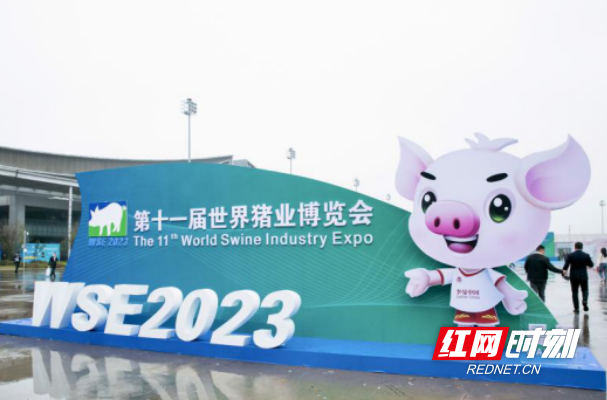 李曼世界猪业博览会“湘”约长沙 AI智能化养殖赋能行业发展