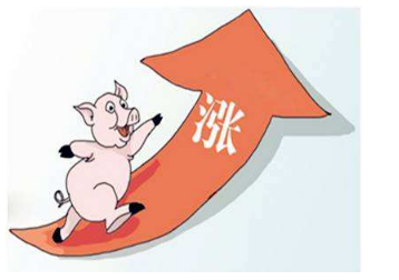 什么是猪周期，猪周期对养猪人有何意义，如何把握猪周期？