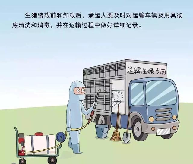 最新！非洲猪瘟，涿州官方做出了回应！预防它们有方法...