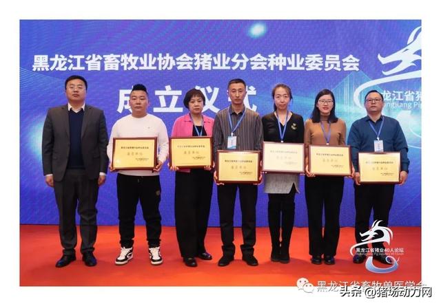 黑龙江省猪业分会种业委员会成立