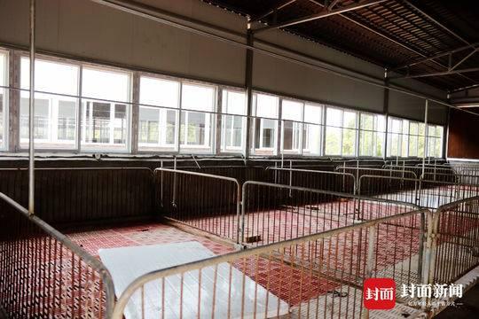 四川南充顺庆新建规模以上养猪场10个 预计年出栏量突破13万头