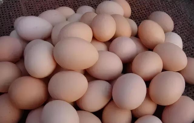 鸡蛋在养猪生产上的妙用，不仅高效而且省钱