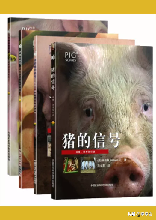 90%猪场兽医总监和场长都读过的畜牧养猪书籍有哪些？