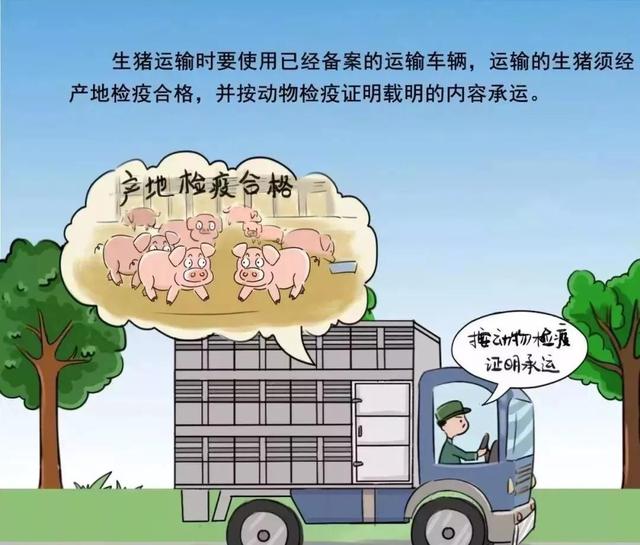 最新！非洲猪瘟，涿州官方做出了回应！预防它们有方法...