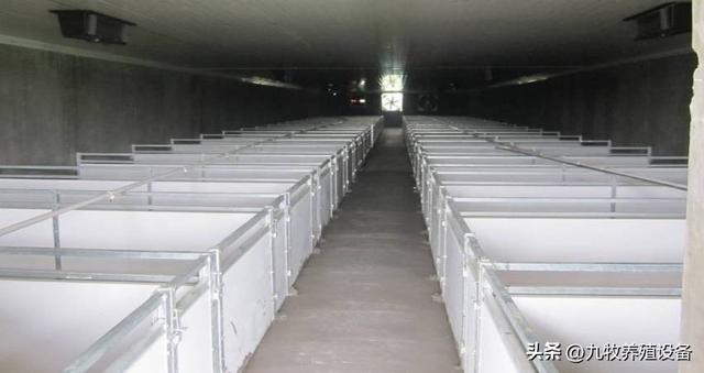 猪场保育舍PVC围栏标准与安装及验收技术规范