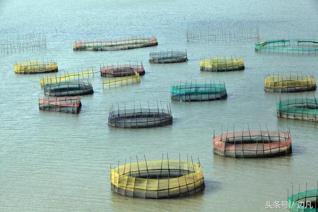 我的《神州万里行》第九十三站：霞浦滩涂彩色围网！