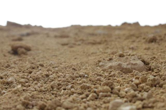 一车沙子有效解决猪群频繁腹泻和咳嗽难题，养猪户看看怎么用的！