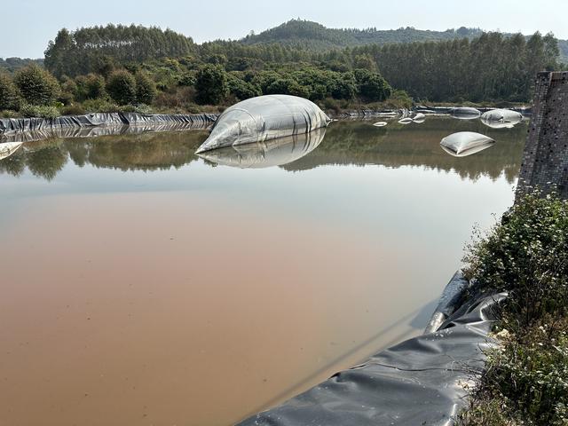惠东县彭白村附近的一家2000头的养猪场，率先使用复合酶技术养猪