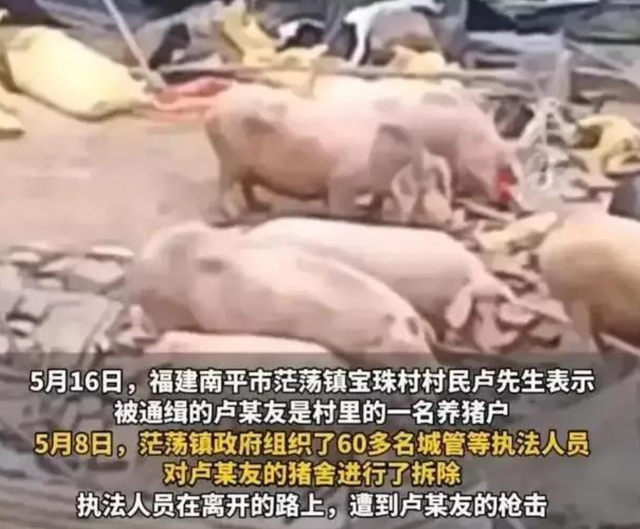 南平猪场错拆案迎反转，养猪人被控“三宗罪”，40万损失无人兜底