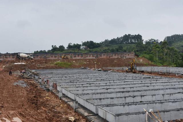 投资1亿元 四川荣县在建一个年出栏6万头生猪养殖场