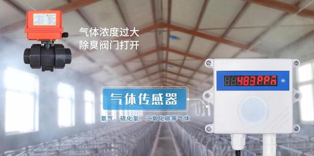 猪舍养殖环控系统应用，自动通风喂料，促进智慧养殖