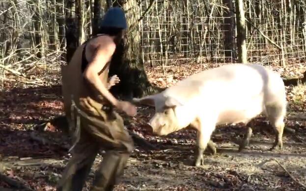 外国小伙养猪的方式真奇葩：陪猪跳舞，给猪按摩，居然还这样喂食