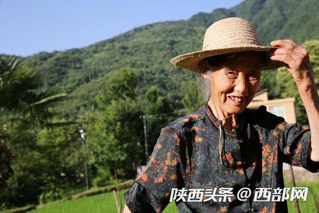 视频丨陕南87岁奶奶种地养猪自给自足，天天干农活
