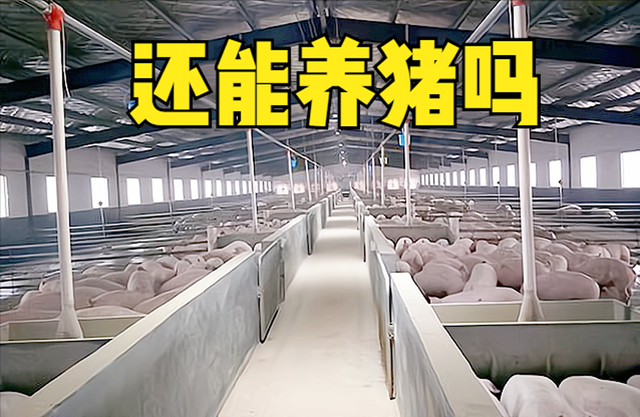 农业农村部：养猪高利润阶段已经结束，还能养猪吗？一个良性建议